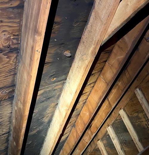 Mold on Wood in the Attic